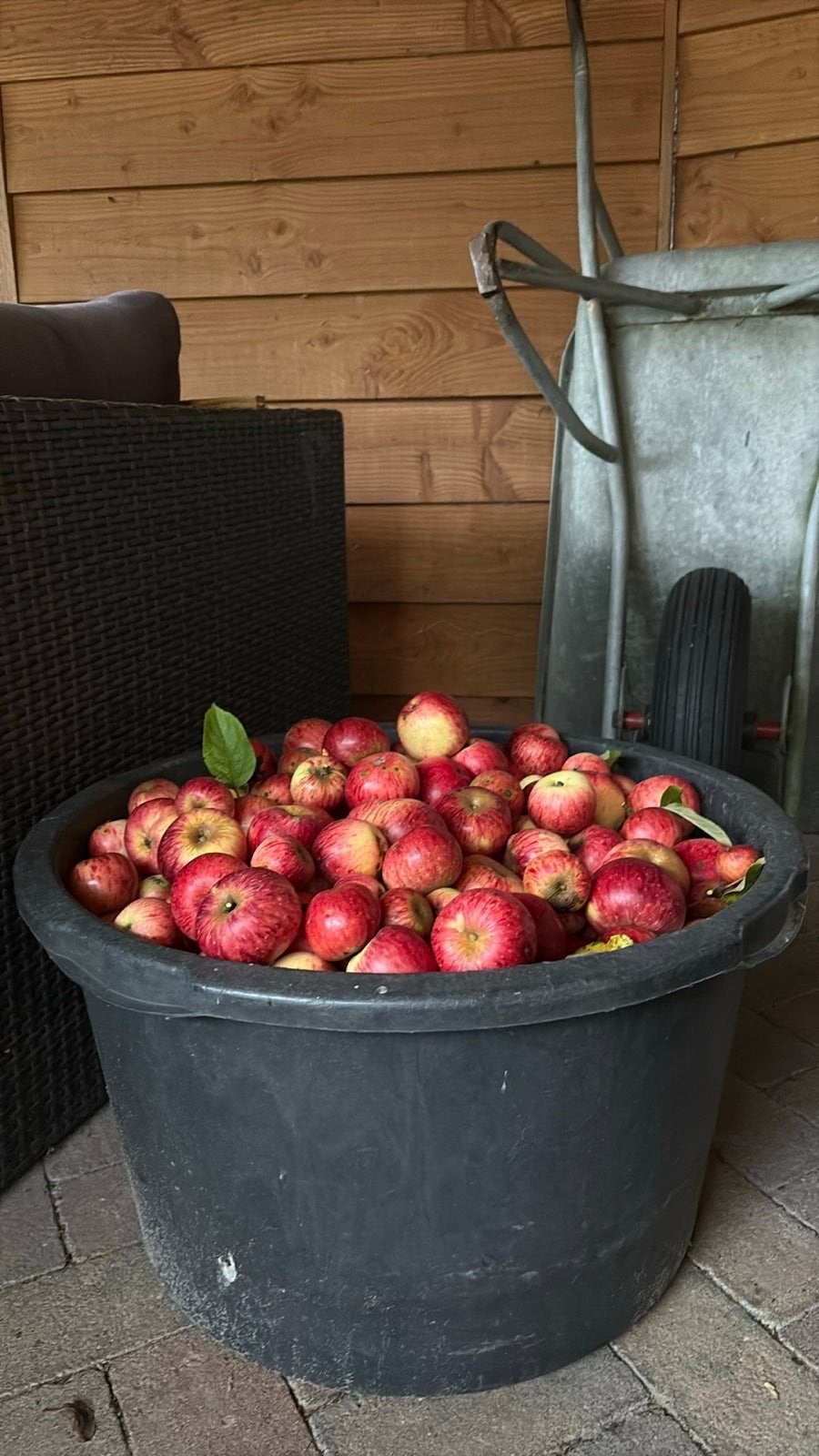 Verse appels van eigen oogst, Ophalen