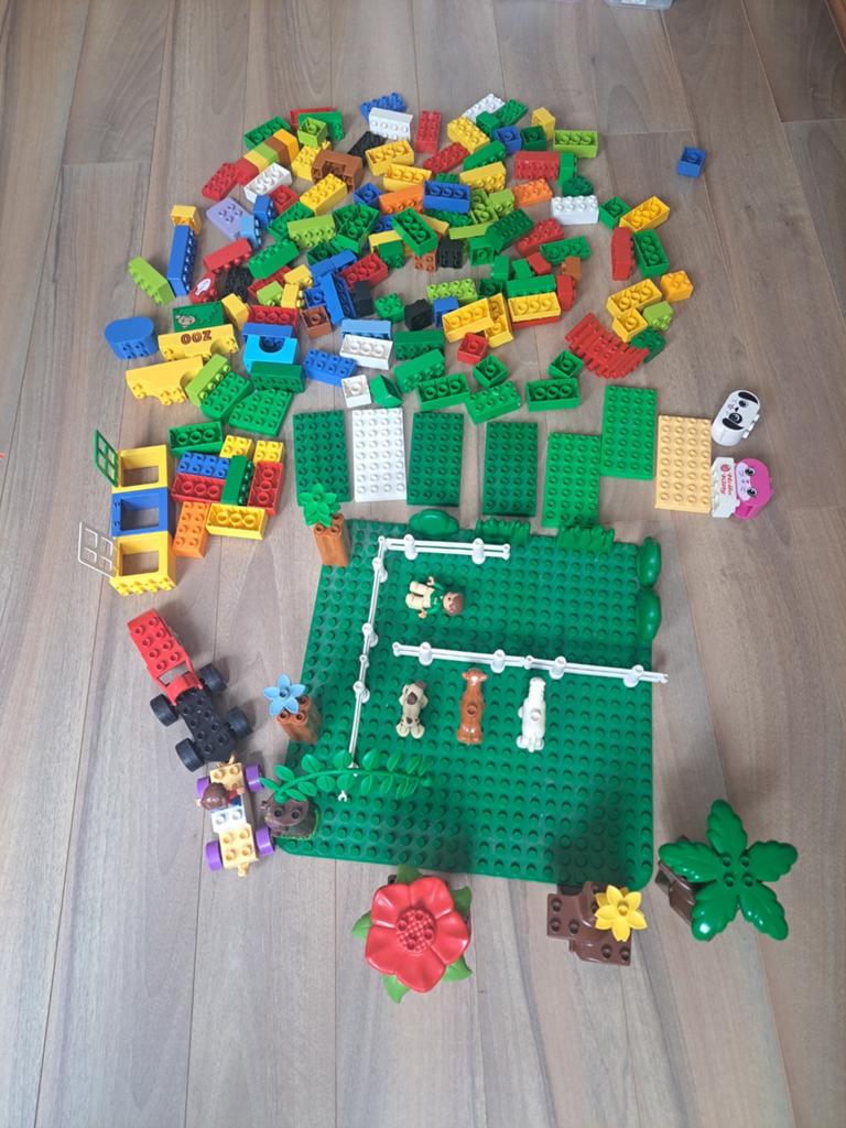 partij LEGO Duplo met grondplaten en dieren, Kinderen en Baby's, Speelgoed | Duplo en Lego, Gebruikt, Overige thema's, Ophalen of Verzenden