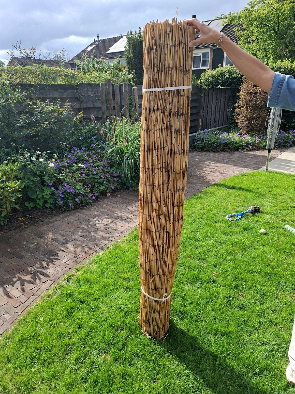 zichtbreekmat riet 180 hoog 6 m breed, Tuin en Terras, Ophalen, Overige materialen, 1 tot 2 meter, Nieuw