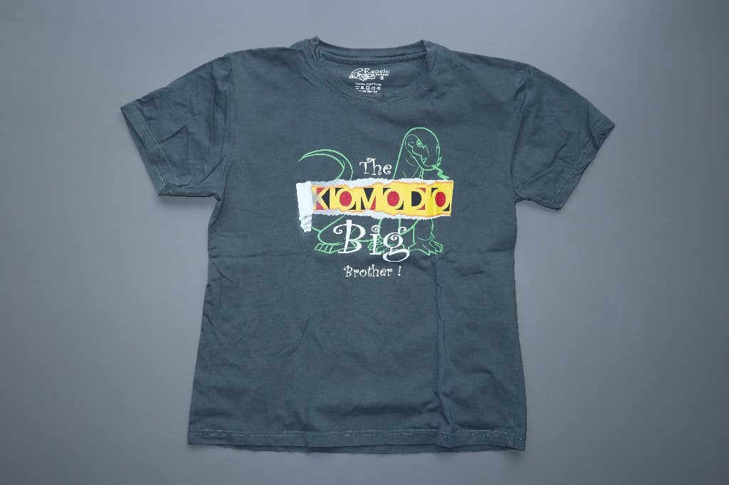 maat S T-shirt t shirt groen Komodo varaan Indonesië zgan, Ophalen of Verzenden, Zo goed als nieuw, Maat 46 (S) of kleiner, Groen