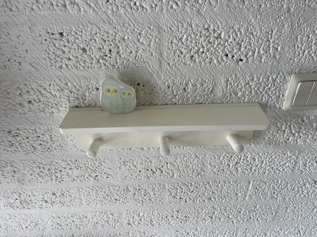 Wandkapstokje met uil decoratie, Wandkapstok, Gebruikt, Ophalen of Verzenden, Minder dan 100 cm