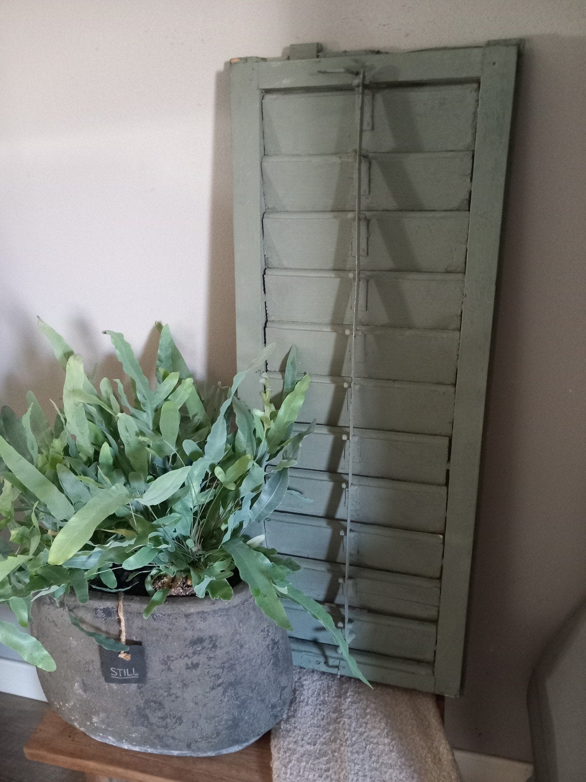 Decoratie luik groen, Antiek en Kunst, Ophalen of Verzenden