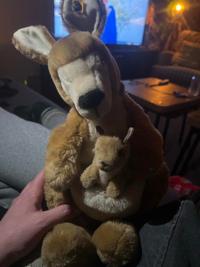 Steiff Kangoeroe knuffel met baby, Ophalen of Verzenden, Gebruikt, Overige typen