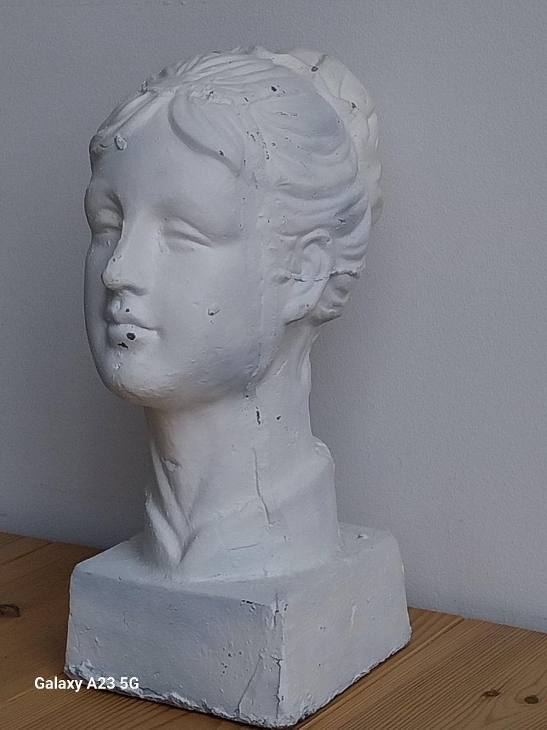 Groot klassiek vrouwenhoofd terracotta beeld 42 cm, Buste, Gepatineerd, Ophalen of Verzenden, 20 - 50 cm