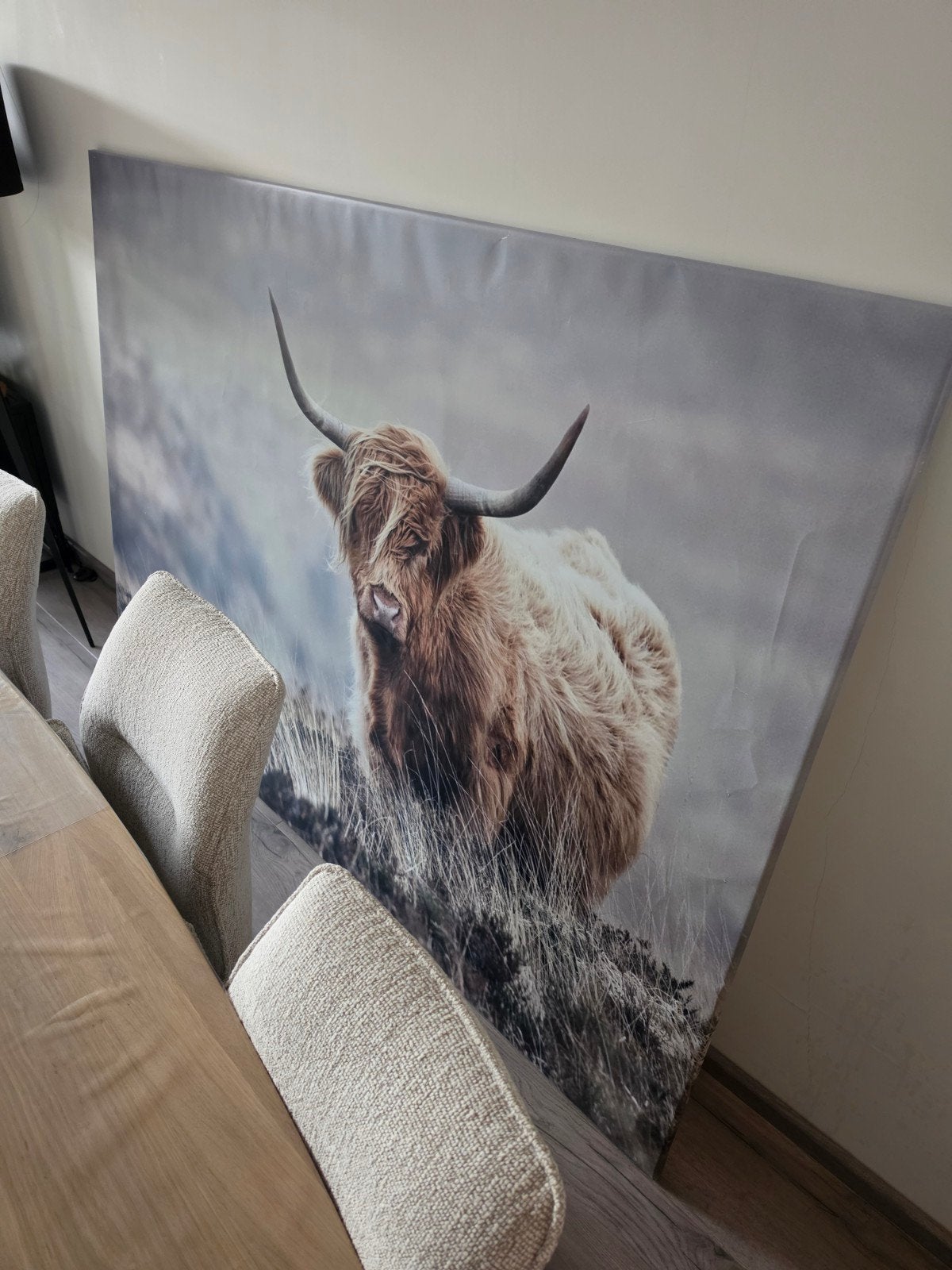 schilderij schotse hooglander 140 x 200 cm, Ophalen, Gebruikt