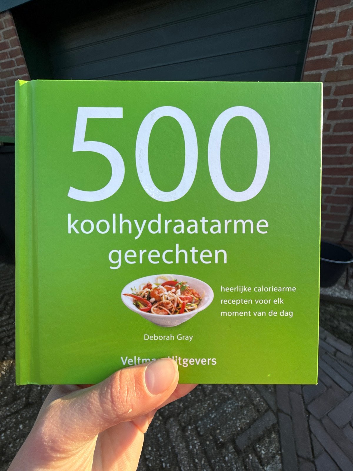 500 Koolhydraatarme Gerechten - Deborah Gray Kookboek, Boeken, Voorgerechten en Soepen, Ophalen of Verzenden, Zo goed als nieuw