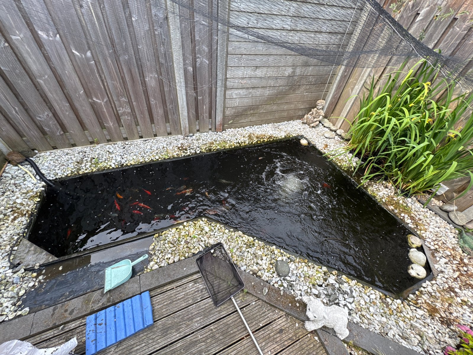 Gratis af te halen: ruim 300 kg siergrind voor vijver, Tuin en Terras, Ophalen, Gebruikt, Overige typen