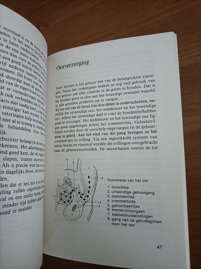 De Bastaard - Ruud Haak (Hondenboek), Ophalen of Verzenden, Gelezen, Honden, Ruud Haak