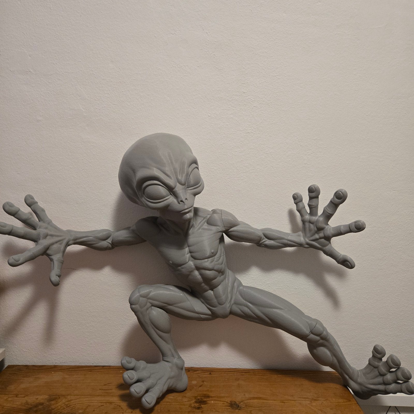 Grijze Alien Muurdecoratie - 3d geprint, Ophalen of Verzenden, Zo goed als nieuw