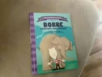 Borre Verstopt een Olifant - Kinderboek, Boeken, Gelezen, Fictie algemeen, Verzenden, Jeroen Schipper