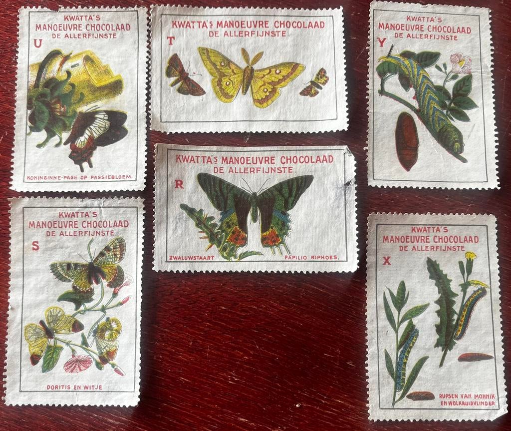 6 antieke sluitzegels vlinder rups Kwatta chocolade Breda, Ophalen of Verzenden, Gebruikt, Overige typen