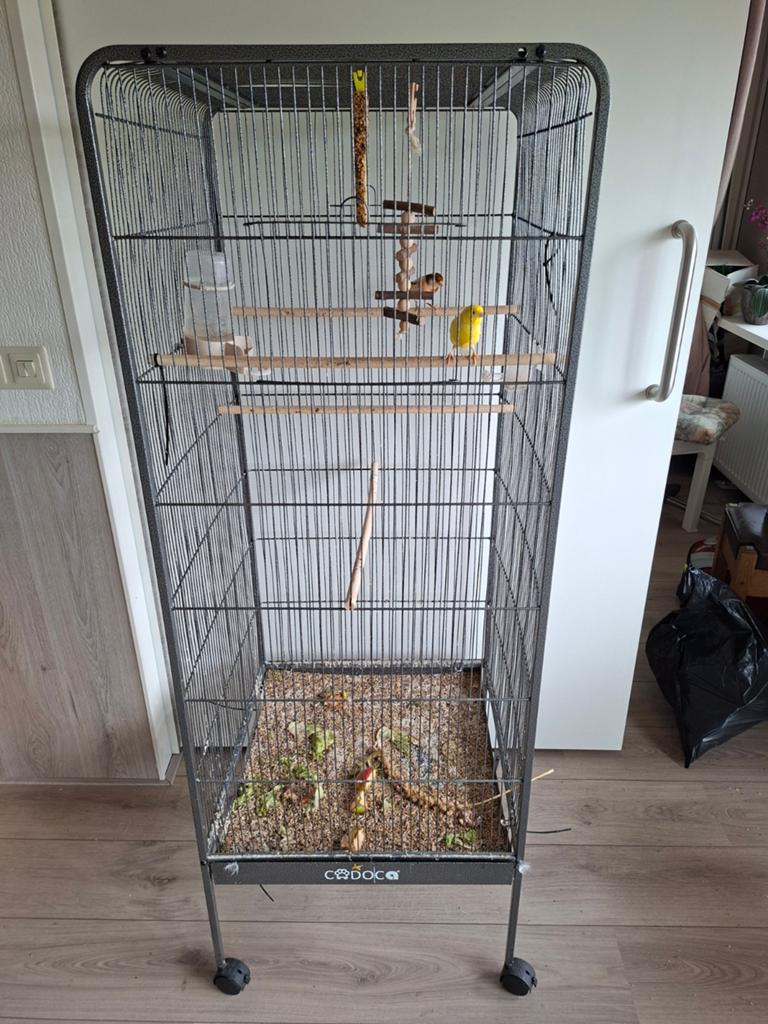 Vogelkooi (zonder de vogeltjes), Ophalen, Gebruikt, Metaal, Vogelkooi