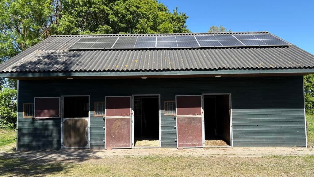 Pensionstalling, Dieren en Toebehoren, Stalling en Weidegang, Weidegang, 1 paard of pony