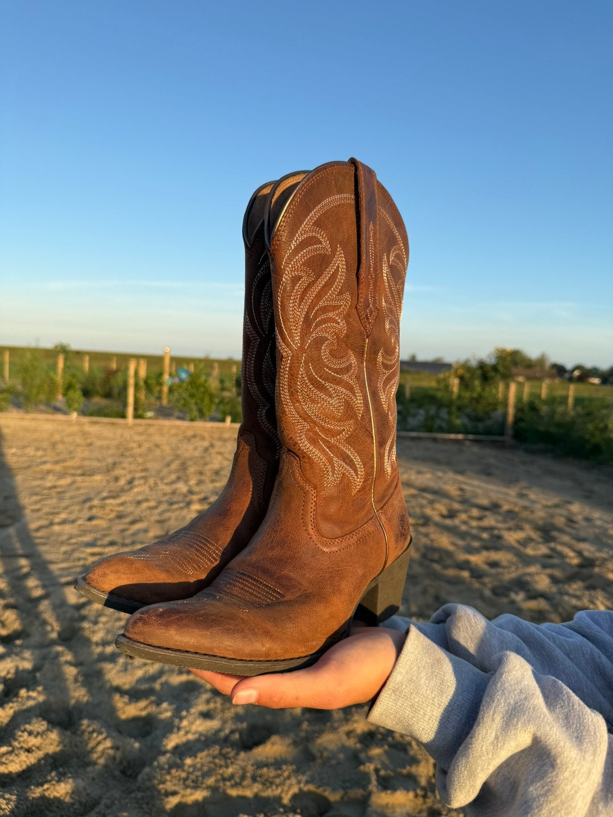 Ariat westenlaarzen maat 37, Ophalen, Zo goed als nieuw, Zwart