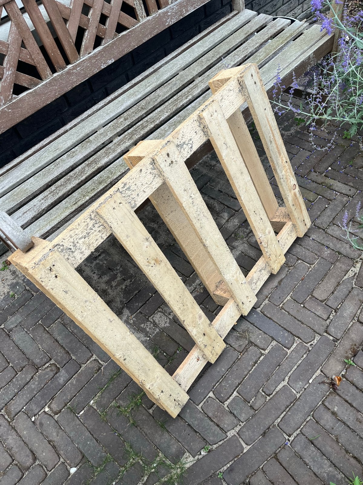 Pallet, Ophalen, Gebruikt, 50 mm of meer, Pallet