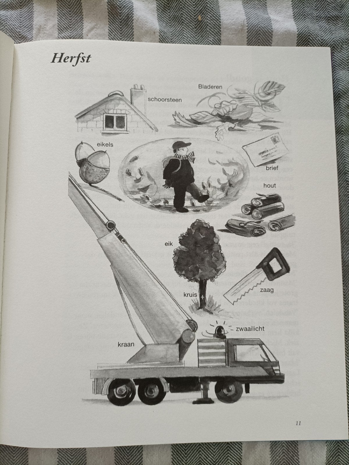Het Grote Maan Roos Vis Voorleesboek voor Kleuters, Boeken, Ophalen of Verzenden