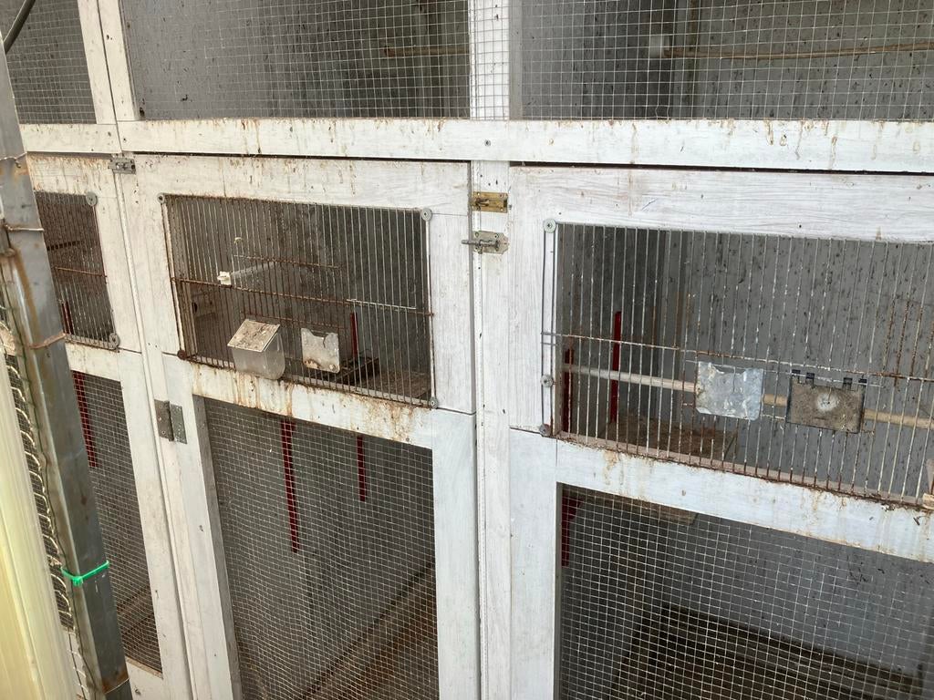 Vogelkooi, Dieren en Toebehoren, Ophalen, Gebruikt, Metaal, Vogelkooi