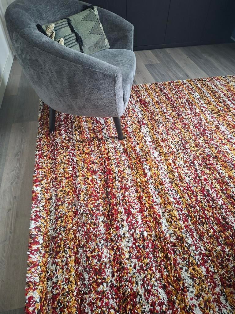 Vloerkleed, Huis en Inrichting, Ophalen, Gebruikt, 200 cm of meer, 200 cm of meer