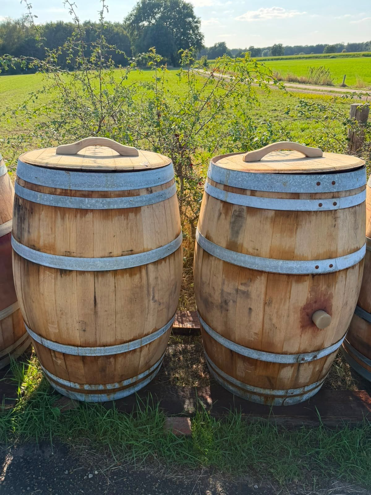 Regenton van robuust eikenhout (wijn/whiskyvat) 225L, 150 liter of meer, Ophalen, Gebruikt, Hout