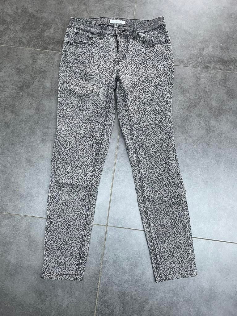 Red Button zwart grijze stretch jeans maat 36 poemamotief, Ophalen of Verzenden, Zo goed als nieuw, W28 - W29 (confectie 36), Grijs