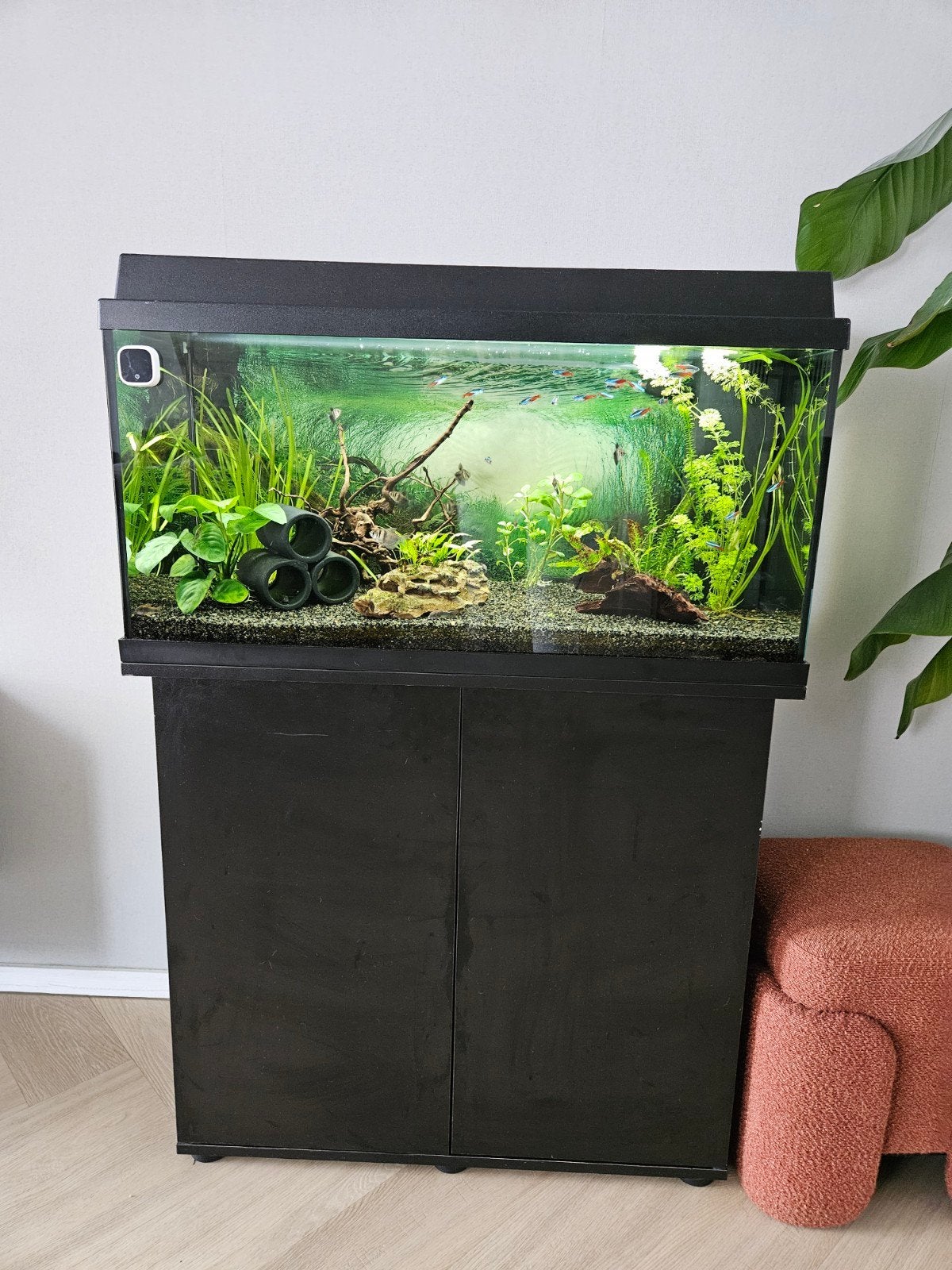 Juwel 125 in zeer goede staat incl alle toebehoren., Ophalen, Zo goed als nieuw, Gevuld zoetwateraquarium