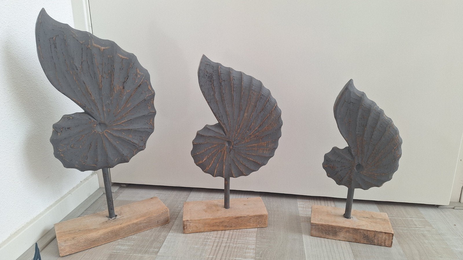 Set van 3 decoratieve schelpen op houten voet, Huis en Inrichting, Ophalen, Hout, Gebruikt, Modern