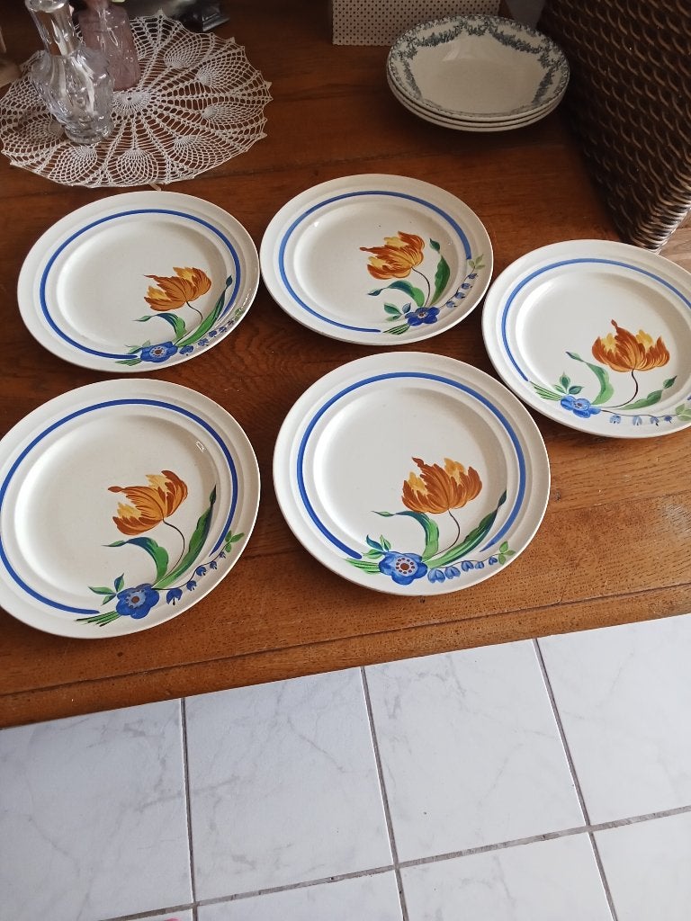 5 gave aardewerk diner borden handgeschilderd boch, Ophalen of Verzenden