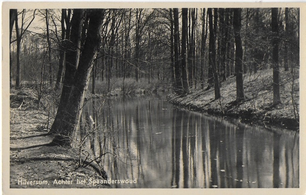 Hilversum Spaanderswoud Oude Gelopen Ansichtkaart (A2562 ), Ophalen of Verzenden, 1940 tot 1960, Gelopen, Noord-Holland
