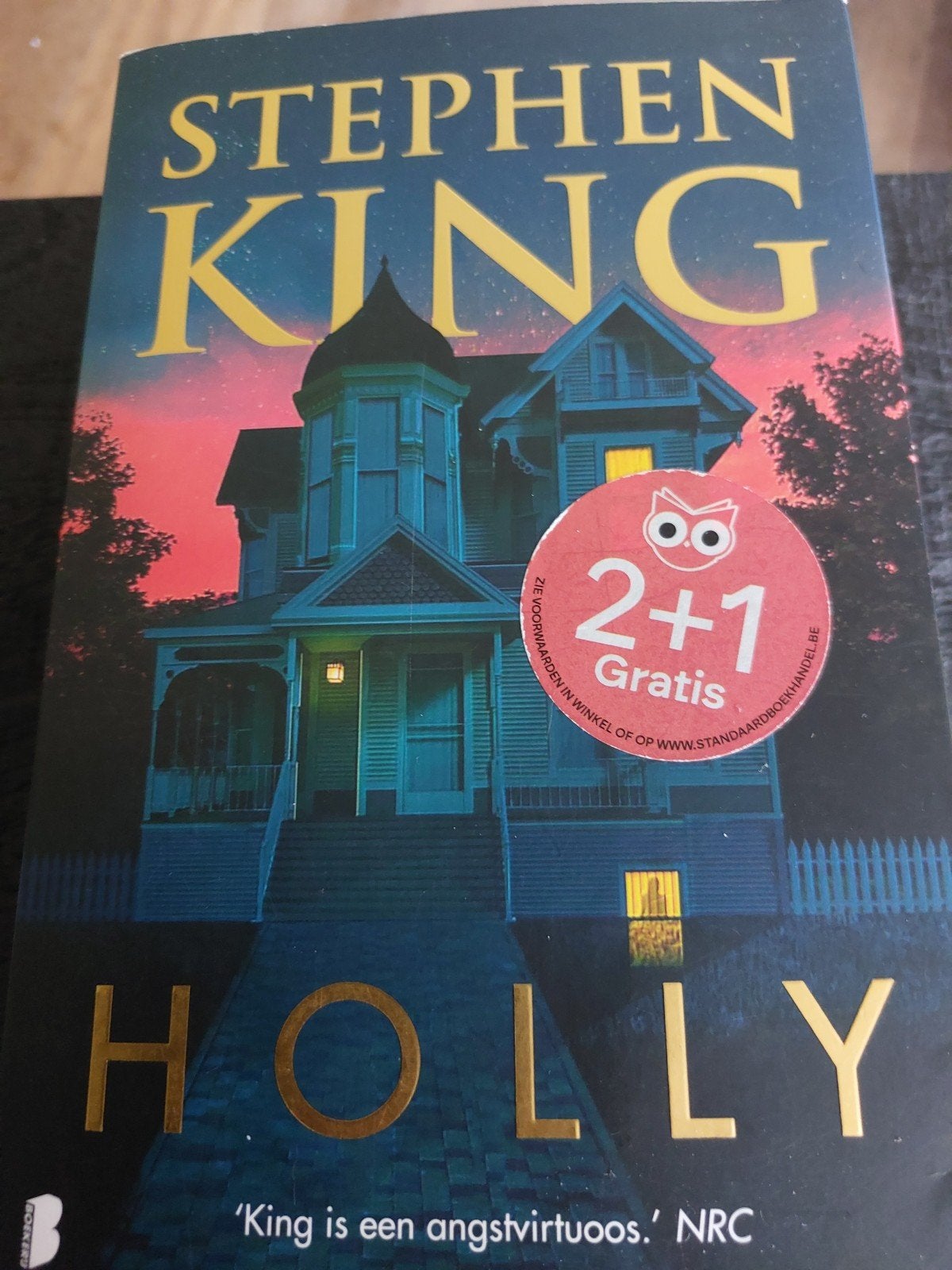 Stephen King - Holly, Stephen King, Ophalen of Verzenden, Zo goed als nieuw, Amerika