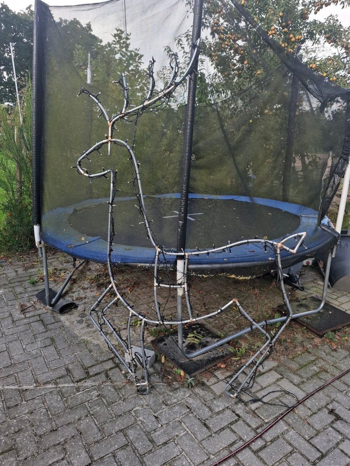 kerstverlichting hert, Diversen, Ophalen