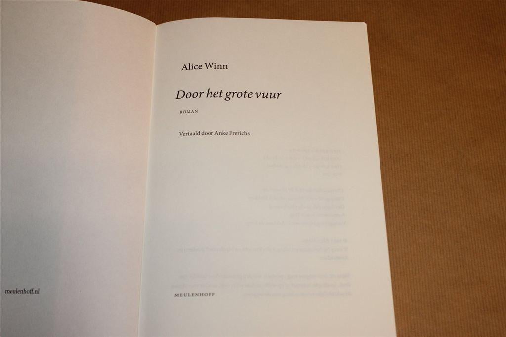 Door het Grote Vuur — Alice Winn — LGBT Roman WO I, Ophalen of Verzenden, Gelezen