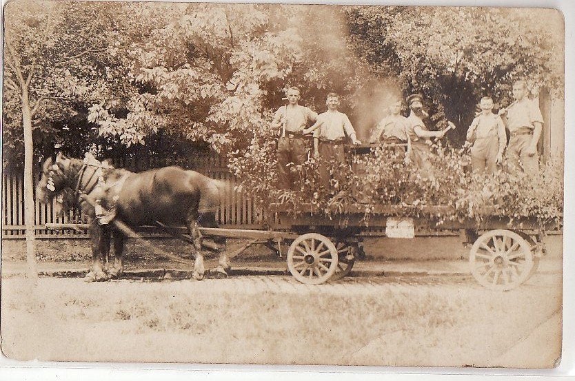 Praalwagen uit optocht (?) Fotokaart paard en wagen, Ophalen, Voor 1920, Ongelopen, Voertuig