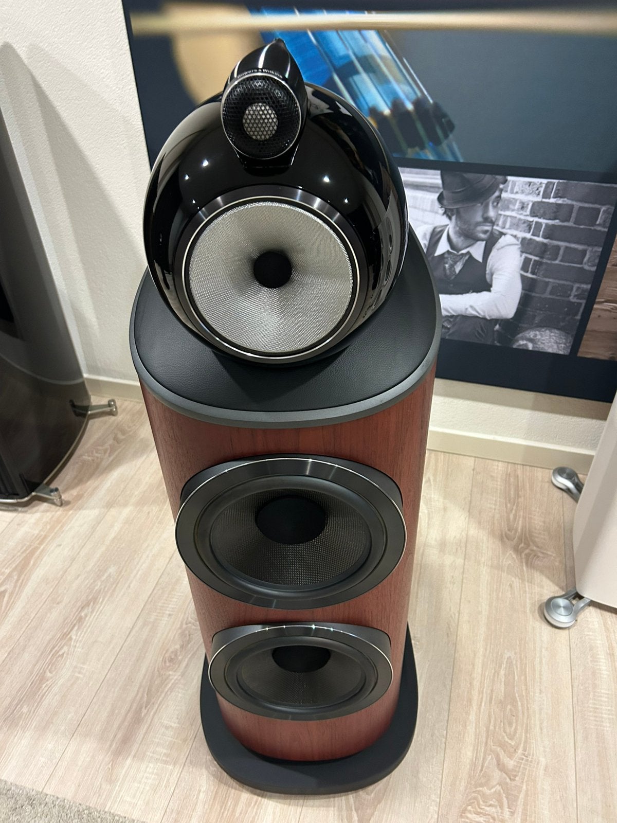Bowers&Wilkins 801 D4 rosenut
