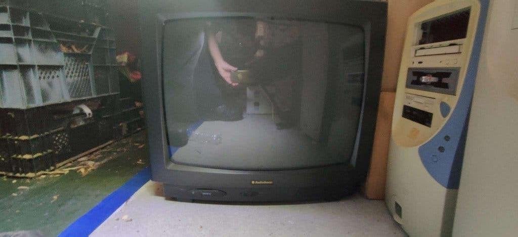AudioSonic TV, Ophalen, Gebruikt, 40 tot 60 cm, Overige merken