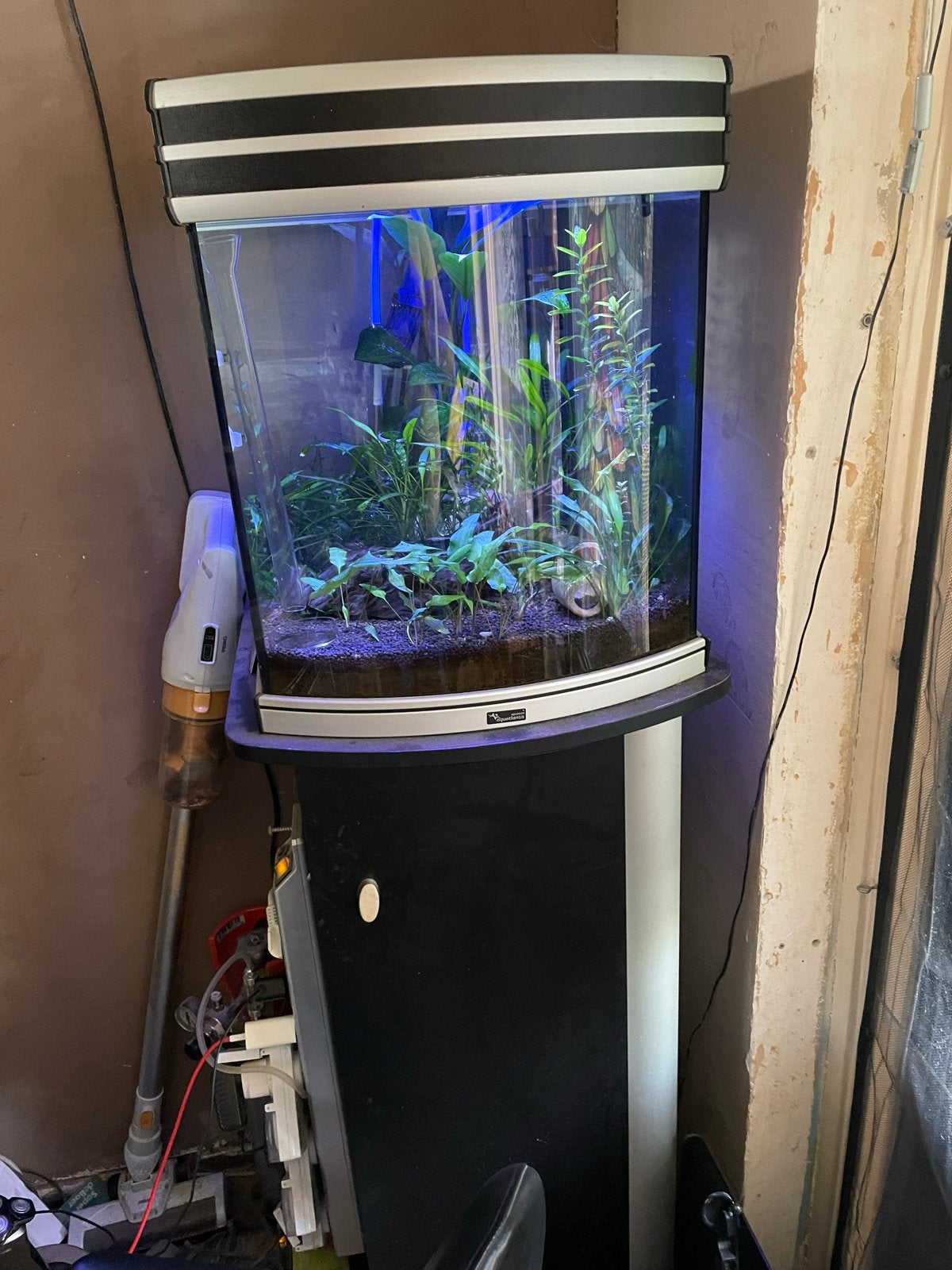 Vis glas compleet, Ophalen, Inclusief toebehoren, Gebruikt, Aquariummeubel