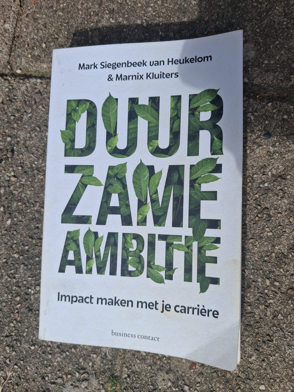 Duurzame Ambitie: Impact maken met je carrière, Boeken, Ophalen of Verzenden, Gelezen, Mark Siegenbeek van Heukelom & Marnix Kluiters