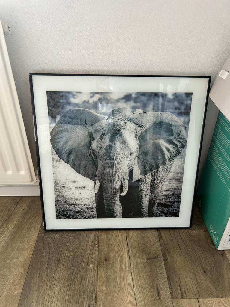Olifanten schilderij, Ophalen, Nieuw, Schilderij, Minder dan 50 cm