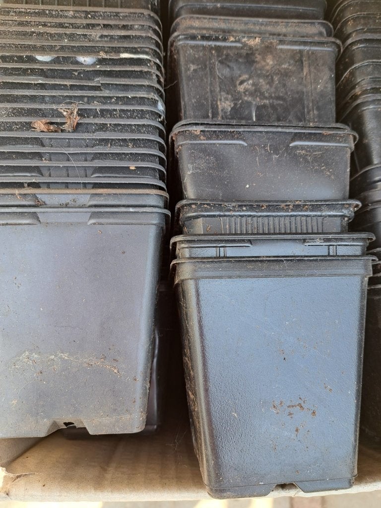Doos met ca. 800 zachte P9 potten € 20.00