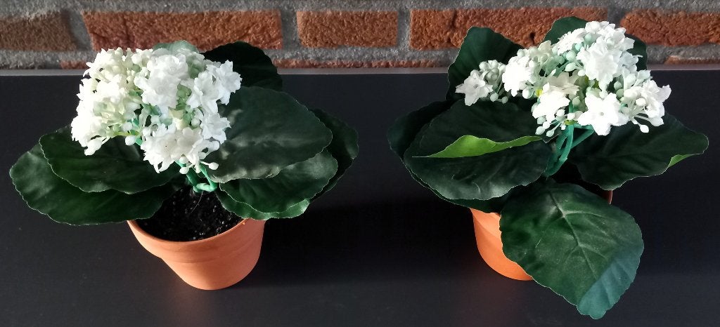 €5 - Pakket 38 - Kunstplanten A – 2 witte Bouvardia in pot, Binnen, Kunstbloem, Nieuw, Ophalen of Verzenden