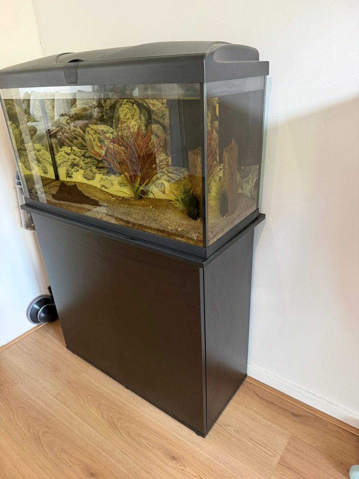 Aquarium + onderkast, Ophalen, Inclusief deksel, Overige merken, Gevuld zoetwateraquarium