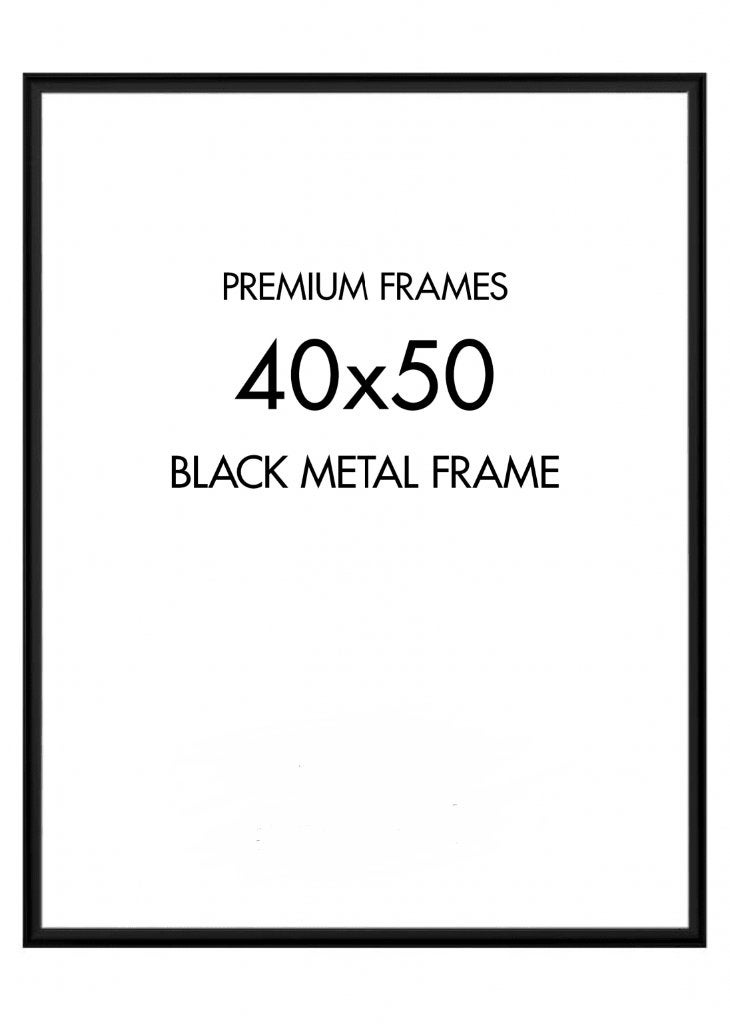 Fotolijsten 40 x 50 zwart metaal glas, Audio, Tv en Foto, Fotografie | Fotolijsten, Ophalen, Metaal, Hangend, Zo goed als nieuw