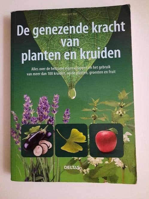 De genezende kracht van planten en kruiden . Penelope Ody, Boeken, Ophalen of Verzenden, Gelezen, Kruiden en Alternatief, Penelope Ody