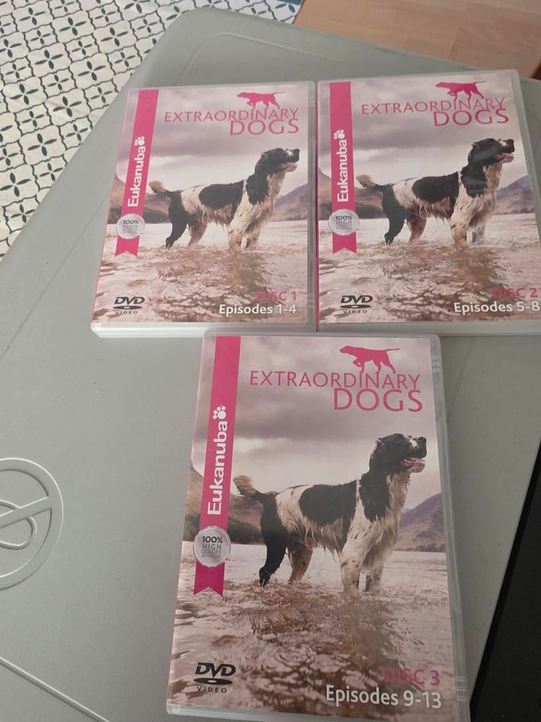 Extraordinary Dogs DVD boxset, Ophalen of Verzenden
