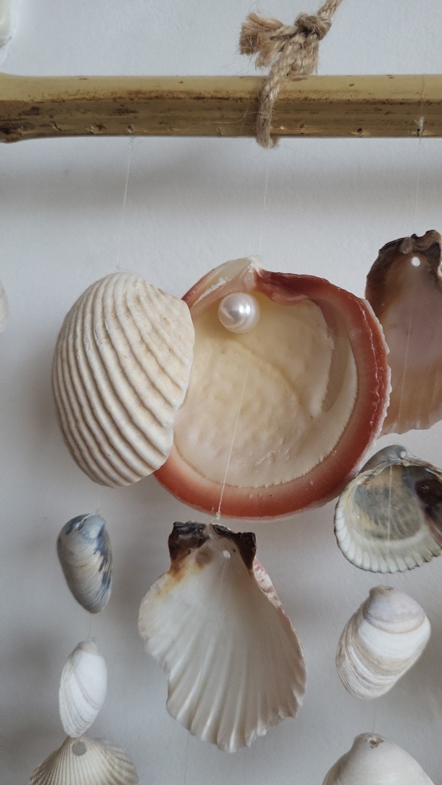 Unieke handgemaakte schelpen wanddecoratie, Ophalen, Schelp(en)