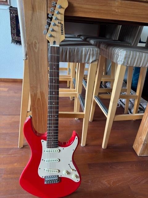 Electrische gitaar met versterker en omvormer, Ophalen of Verzenden, Gebruikt, Gitaar, Minder dan 50 watt