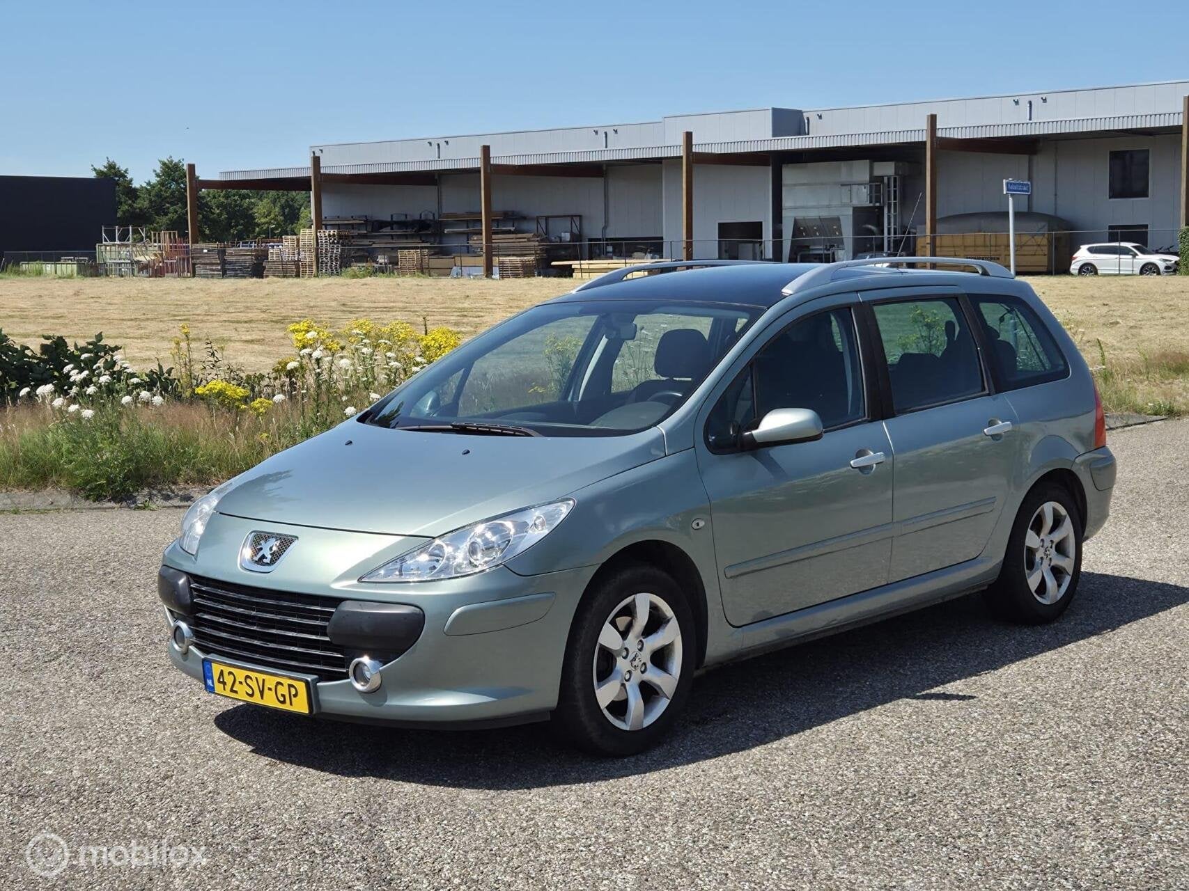 Peugeot 307 SW 2.0-16V Oxygo LPG / 7 pers / Clima / Cruise, Auto's, Peugeot, Bedrijf, Te koop, ABS, Airbags, Airconditioning, Alarm