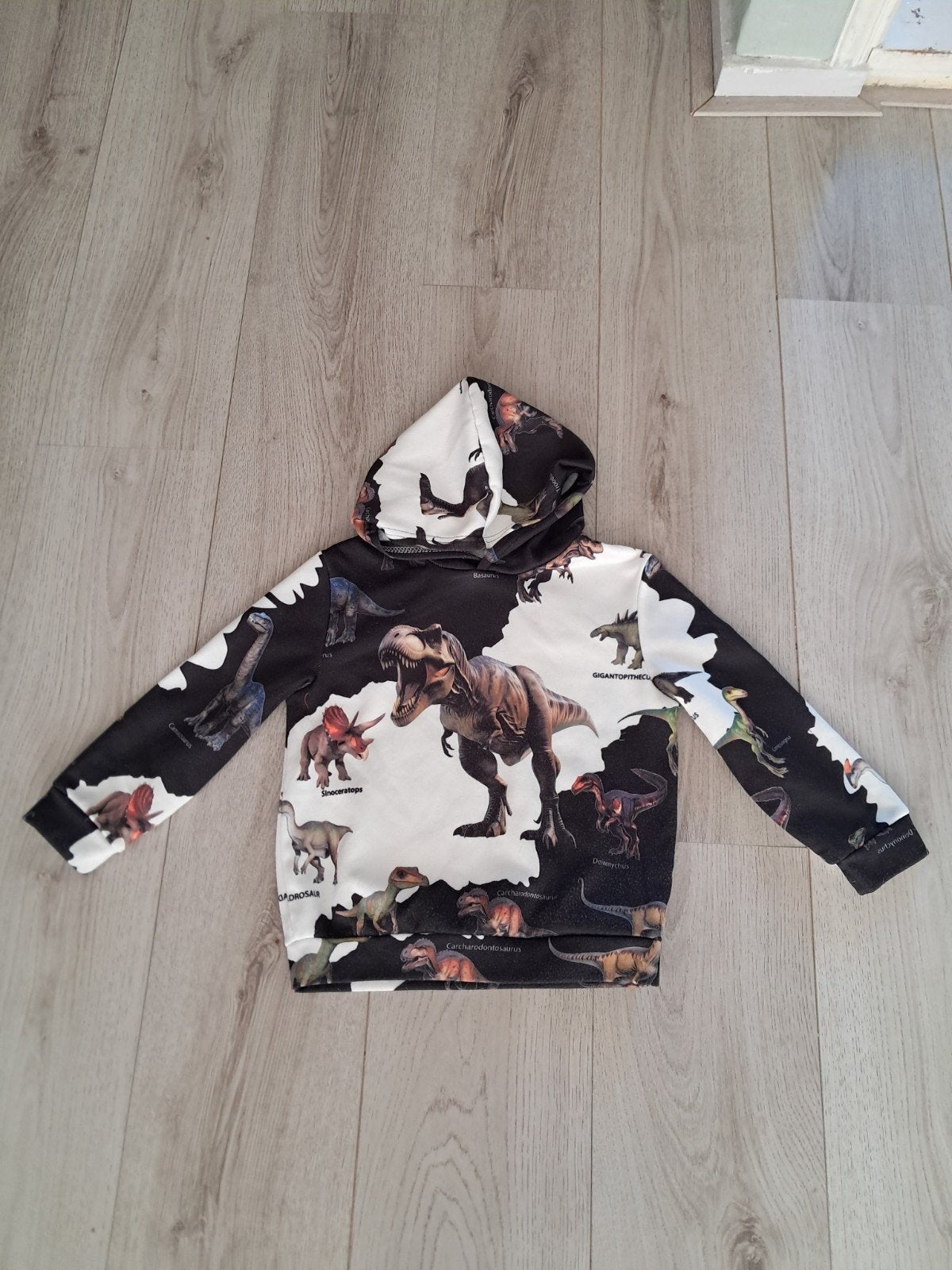 Dino hoodie voor kinderen - Maat 116, Kinderen en Baby's, Kinderkleding | Maat 116, Ophalen of Verzenden, Gebruikt, Onbekend, Jongen of Meisje