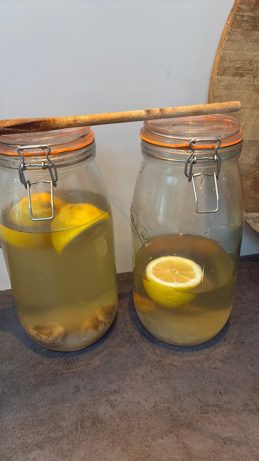 Gratis Kefir (waterkefir), Ophalen