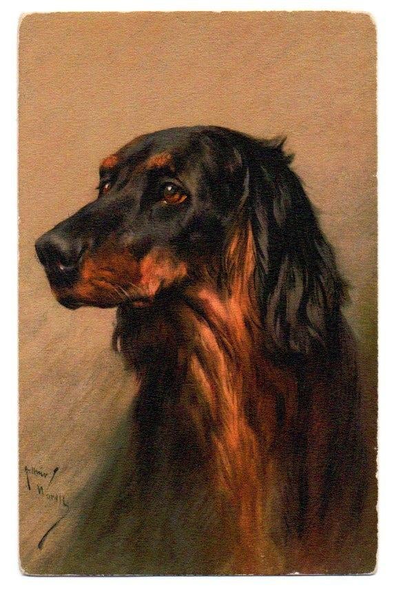 Reclamekaart Cacao en chocolaad A. Driessen (hond), Ophalen, Voor 1920, Ongelopen, Overige thema's