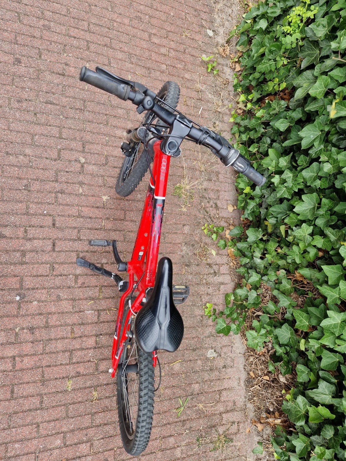 Mountainbike 20 inch, Fietsen en Brommers, Fietsen | Crossfietsen en BMX, Gebruikt, 16 tot 20 inch, Staal, Schijfrem, Ophalen